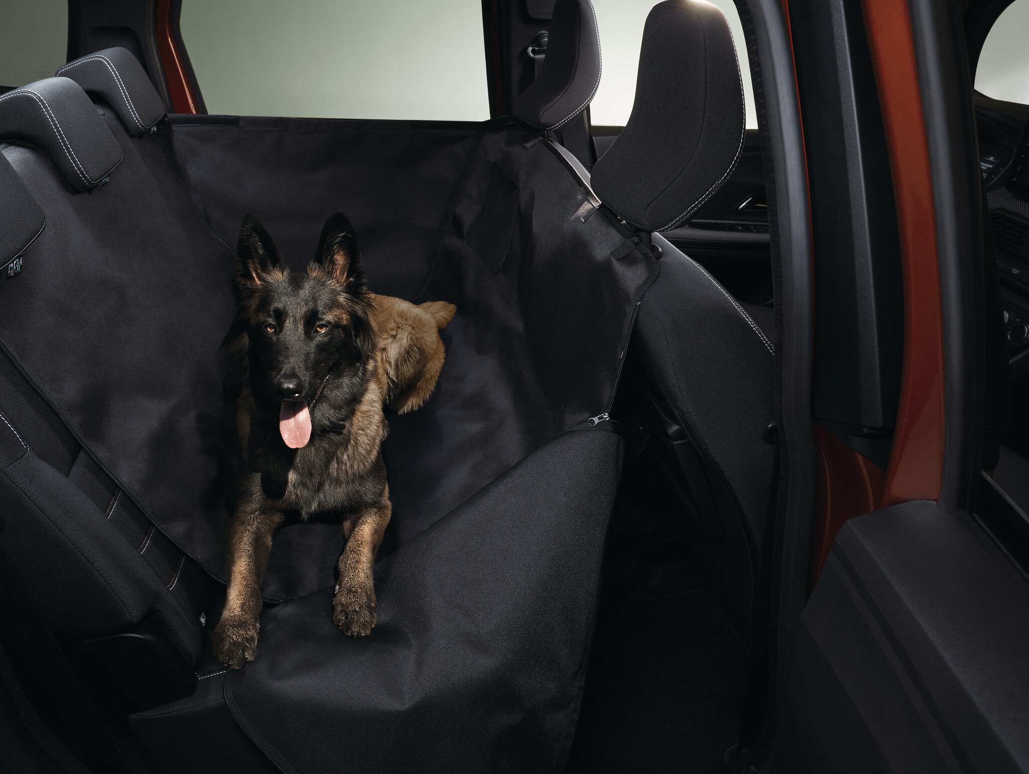 Rücksitz-Schutzabdeckung für Hunde